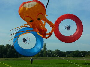 dolle Drachen gab es 2013 beim Drachenfest zu bestaunen