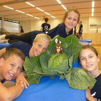 Impressionen vom Sauerkraut-Pokal 2013