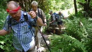 Im Regenwald: Ronald Hollederer, Roland Rittermann, Berthold Spielmann, Jürgen Schupp.