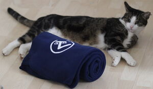 Die TVB-Kuscheldecke