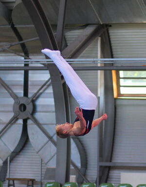 Der Fachmann sieht es sofort: Der Kopf ist zu weit drin, Louis hat keine Orientierung. Die Schraube hätte hier schon kommen müssen, so wird es nur ein Doppelsalto vorwärts...