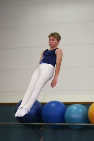 Lars Erik Westermann