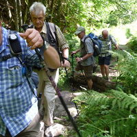 Im Regenwald: Ronald Hollederer, Roland Rittermann, Berthold Spielmann, Jürgen Schupp.